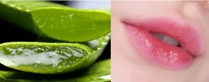 aloe vera for lips